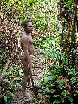 Image 33Korowai tribesman (from New Guinea)