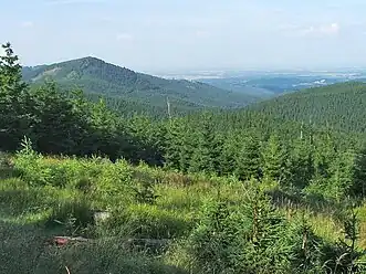 Golden Mountains in the eastern part of the trail