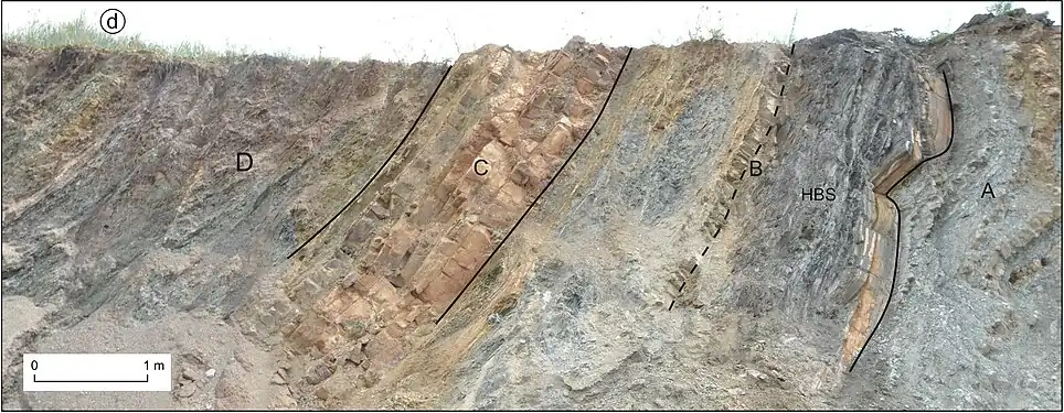 The Hangenberg succession at Kowala Quarry in Poland:A - cephalopod-rich nodular limestone (equivalent to Wocklum Limestone)B - marly shale, including the Hangenberg Black Shale (HBS) at its baseC - marly limestone (equivalent to Stockum Limestone)D - marls and limestones (equivalent to Stockum Limestone and later units)