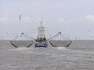 A shrimp trawler near Südfall