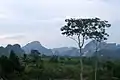 Limestone landscape around Krabi town