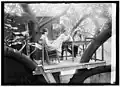 Relaxing in the club's tree-house cafe, July 15, 1921. No photograph of club's indoor dining area—the speakeasy itself—is known to exist.