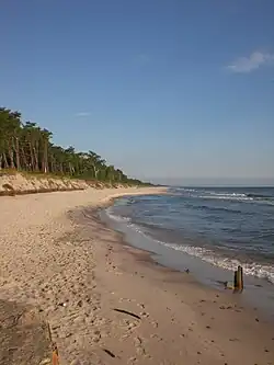 Beach in Kuźnica