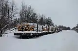 Freight cars, Vodogon Station