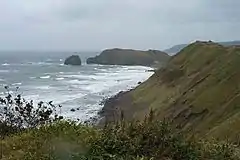 Image 11Kunashir Island coastline: photo taken by Russian President Dmitry Medvedev in November 2010 (from List of islands of Russia)