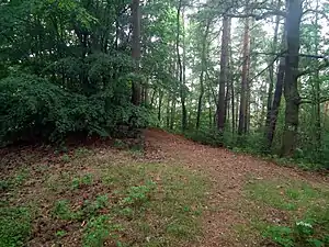 Summit plateau of the Kutschenberg