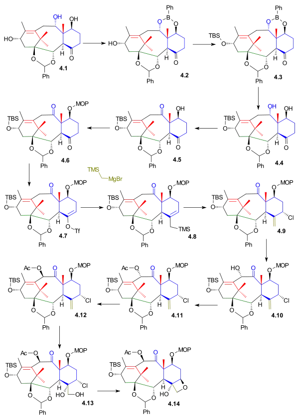 Kuwajime Taxol scheme 4