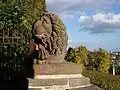 Lion on the viewing platform