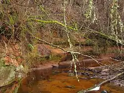 Lüütre valley outcrop and Lüütre stream in Sarja