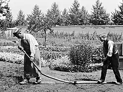 Image 27A frame from the Lumière brothers staged comedy film, L'Arroseur Arrosé (1895). (from History of film)