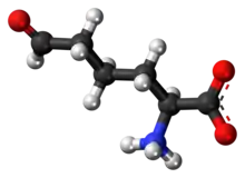 Ball-and-stick model of the L-allysine molecule as a zwitteiron