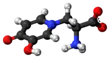 Ball-and-stick model of the L-mimosine zwitterion