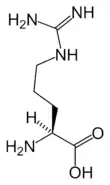 Skeletal structure of L-arginine