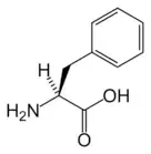 Skeletal structure of L-phenylalanine