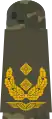 Generalmajor(field suit)