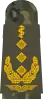 Generalober­stabsarzt(Human medicine)