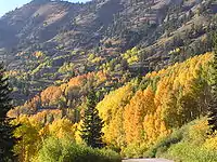 Image 13Little Cottonwood Canyon (from Utah)