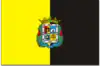 Flag of La Aldea de San Nicolás