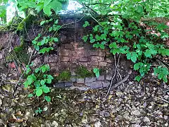 Brick wall surrounded by vegetation.