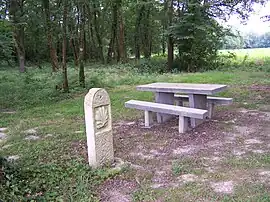 Boundary stone with St James shell in Labastide-Chalosse