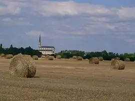 The church and surroundings in Labergement-lès-Seurre