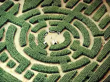 Image 52Labyrinth maze of Barvaux, Durbuy, Belgium (from List of garden types)