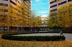 Toronto Public Labyrinth at Trinity Square