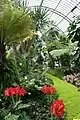 Interior of the Diana Greenhouse