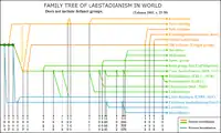 Family tree of laestadianism in world. Does not include defunct groups.