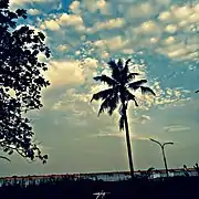 View of the Third Mainland Bridge From the Lagoon Front