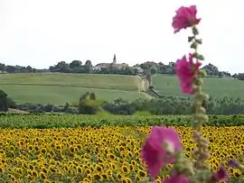 A general view of Lagraulet-du-Gers