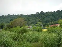 A view of barangay Makiling