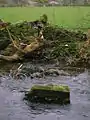 The remains of an old footbridge across the Annick Water.