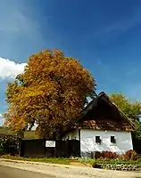 Traditional residential house in Abasár