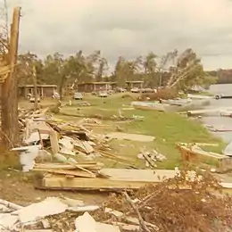 Splintered debris with trees leaning in the background