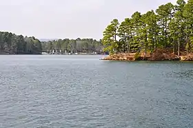 Blue waters and pine trees