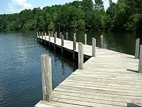 A pier extending out into the swamp