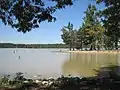 Quiet lake with a short wooded point jutting out from the right, with a dark green treeline along the horizon