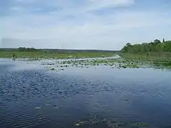 View from south shore