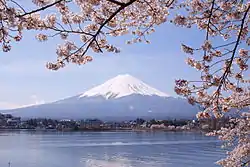 Image 36Mount Fuji and sakura (cherry blossoms) are national symbols of Japan. (from Culture of Japan)