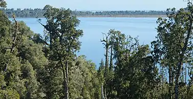 View from a tower on the nearby West Coast Treetop Walk