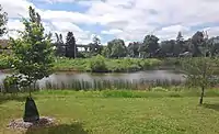 Grass, reeds, and new trees stand before a brown lake with a highway and residences on the far shore.