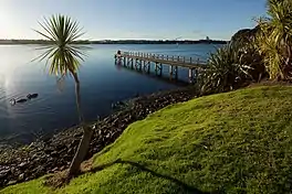 Lake Pupuke