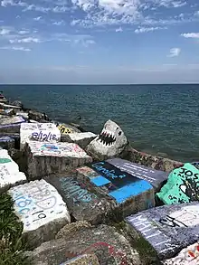 Lakefill painted rock