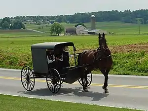 Image 8An Amish family riding in a traditional Amish buggy in Lancaster County; Pennsylvania has the largest Amish population of any state. (from Pennsylvania)