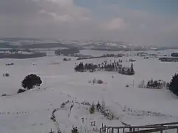 Landscape of Błędziszki and vicinity