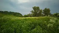 Landscape in Krasnogorsky District