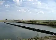 The marshes towards Bourgneuf-en-Retz.