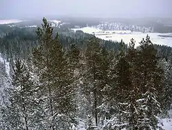 Landscape of Korpilahti seen from the top of mount Oravivuori