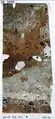Micromorphological thin-section Lst-10292. Combustion structure.